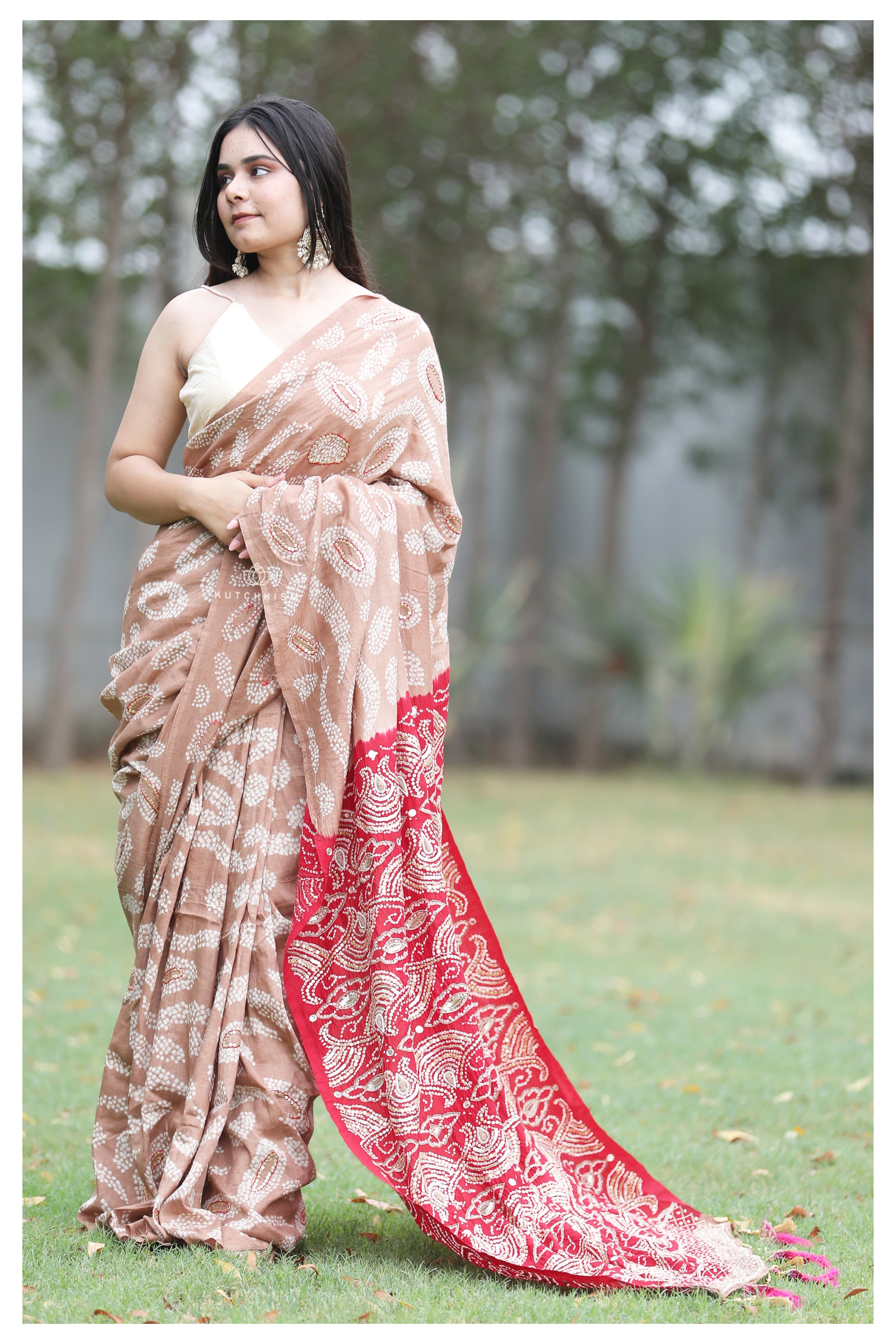 Red - Beige shaded Handcrafted saree